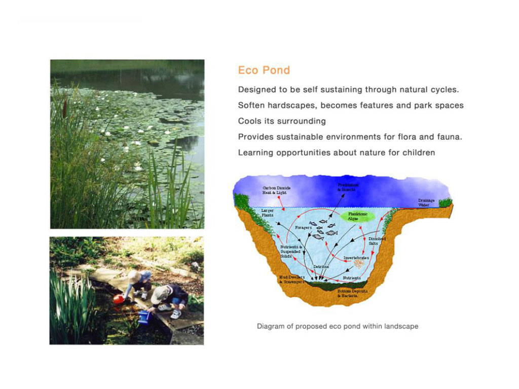 Eco Pond